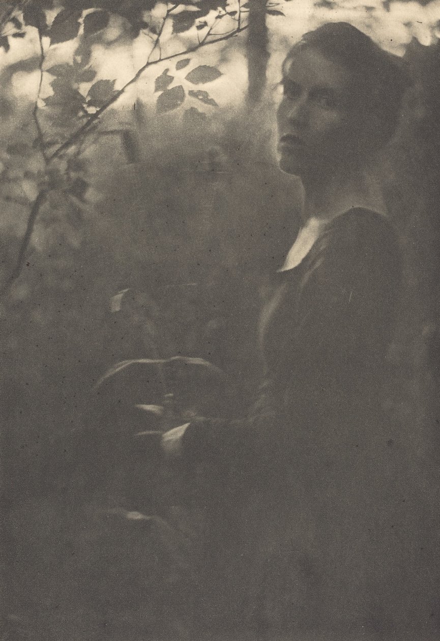 Waldrand, Abend von Clarence H White