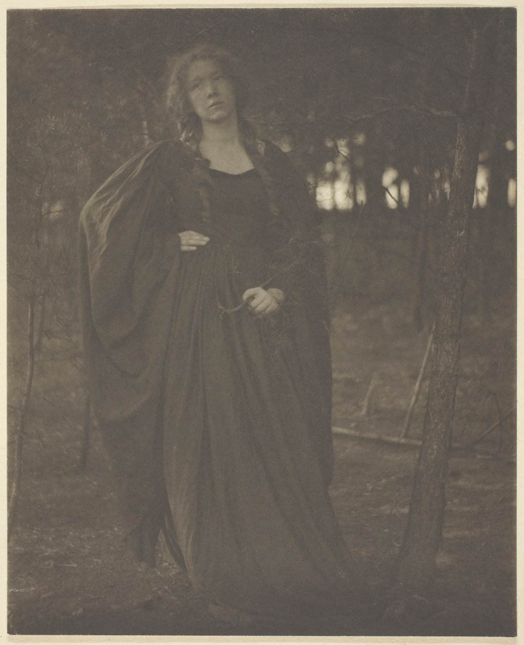 Ohne Titel [Frau im Wald], 1901-05 von Clarence H White