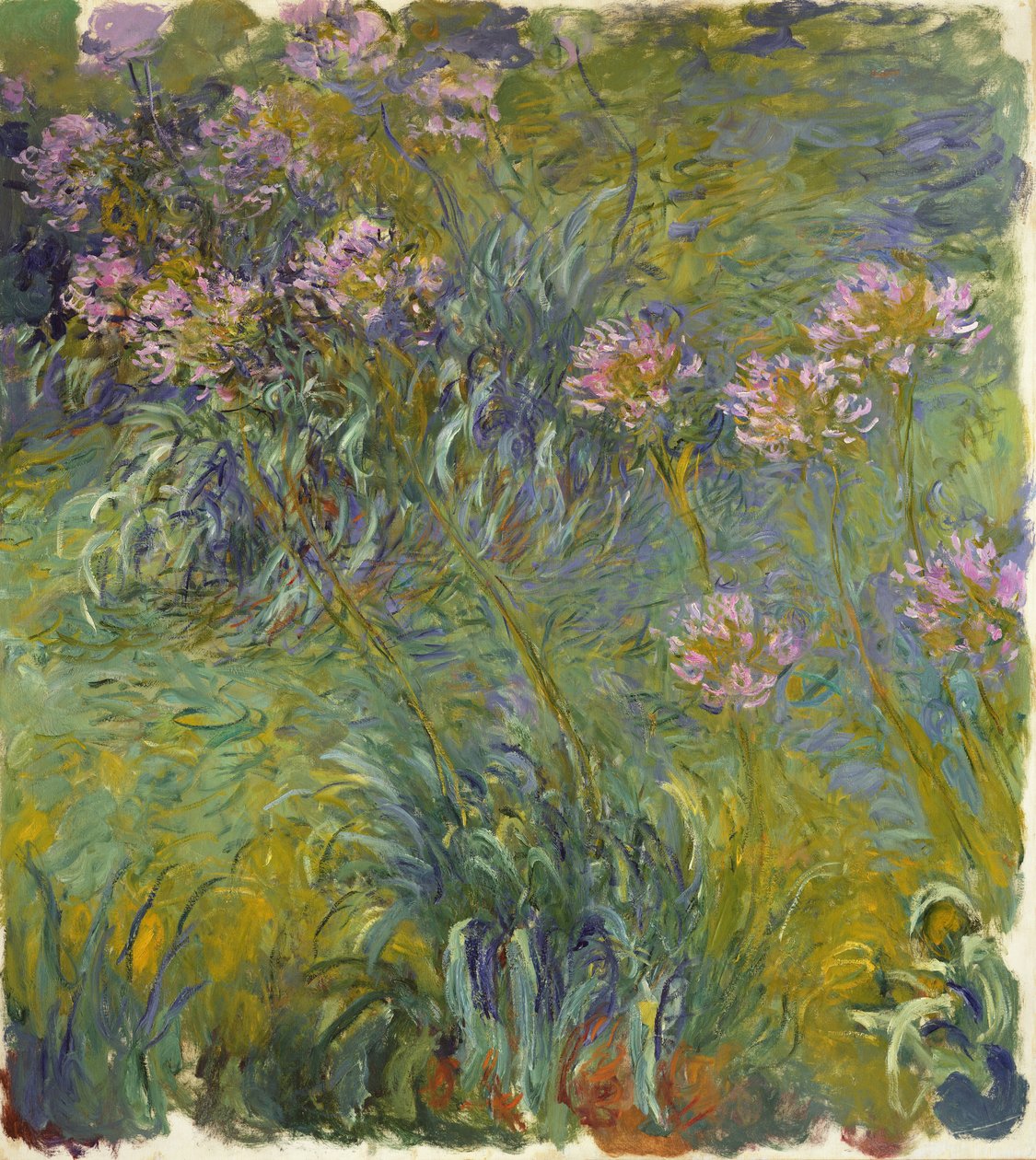 Agapanthus, 1914-26 von Claude Monet