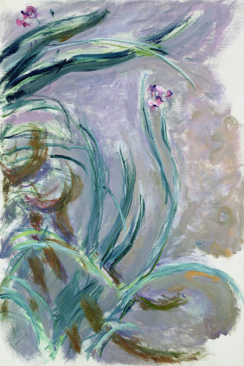 Iris, 1924-25 von Claude Monet