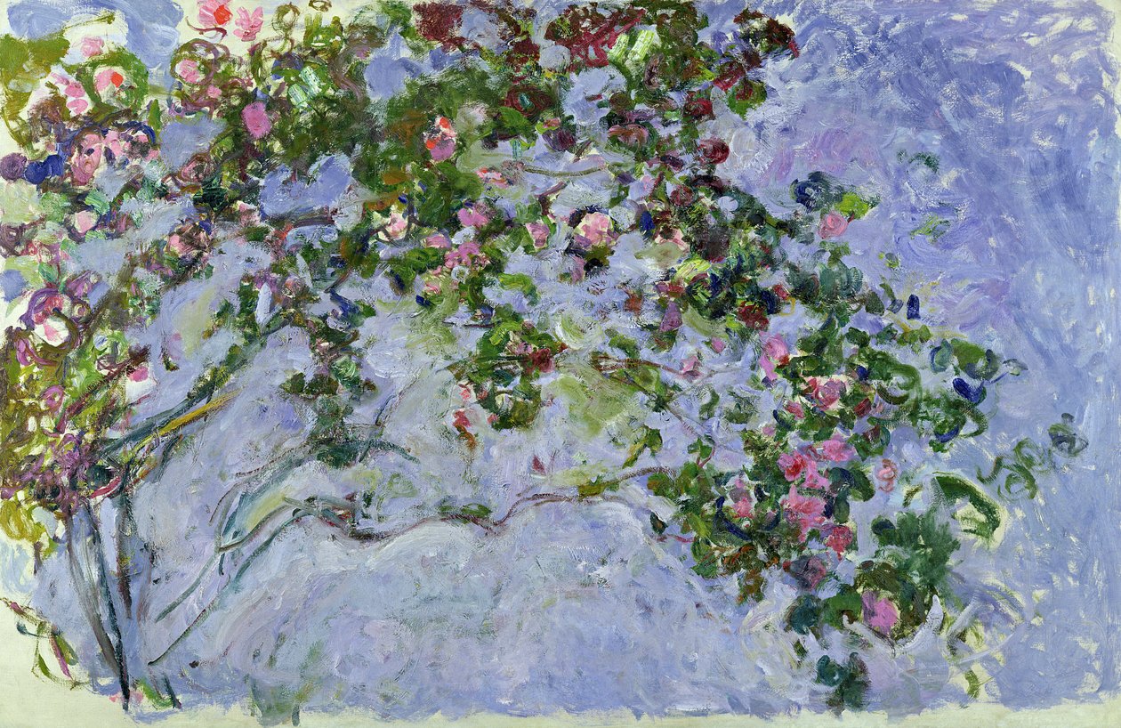Die Rosen, 1925-26 von Claude Monet