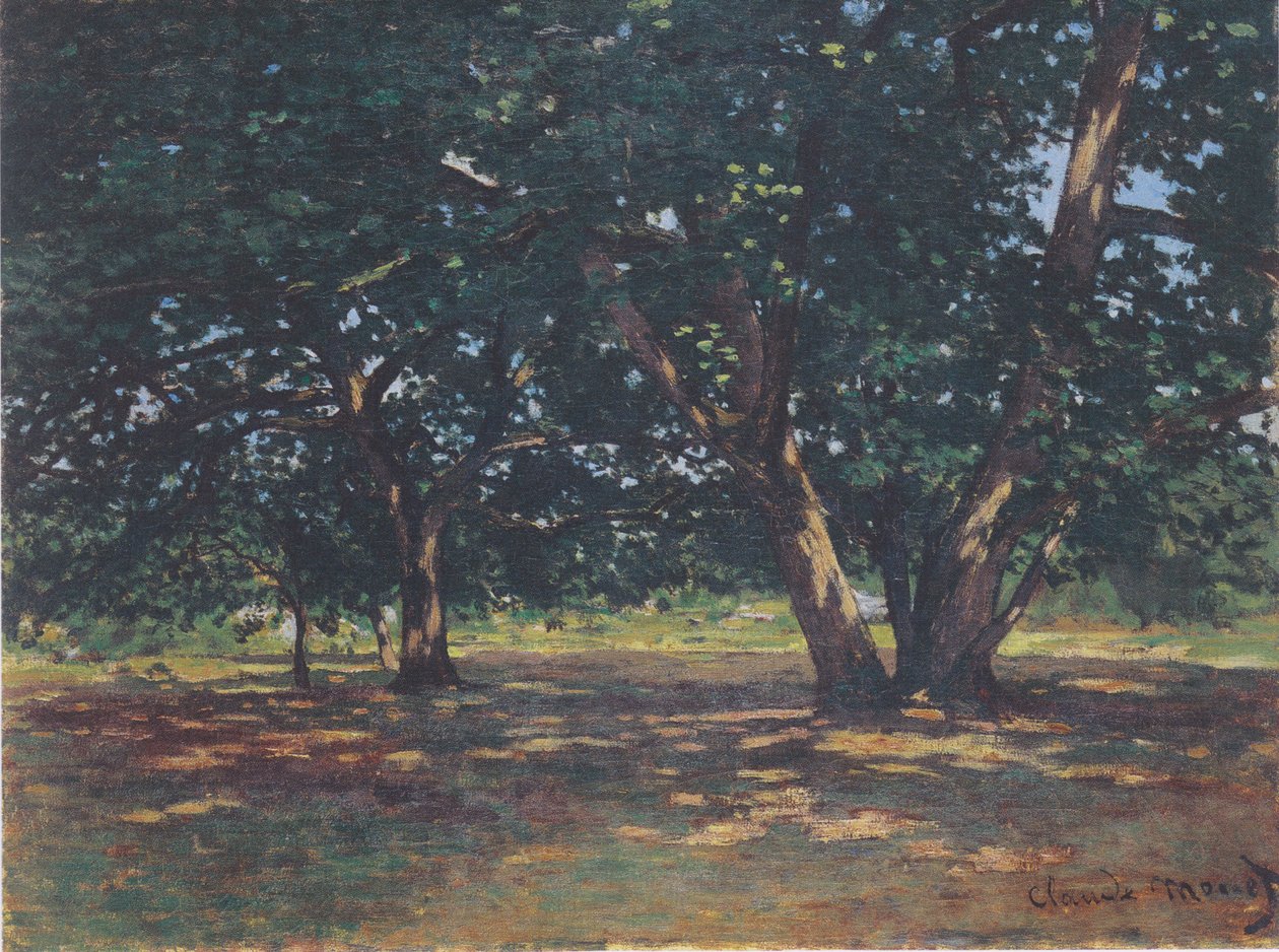 Wald von Fontainebleau von Claude Monet