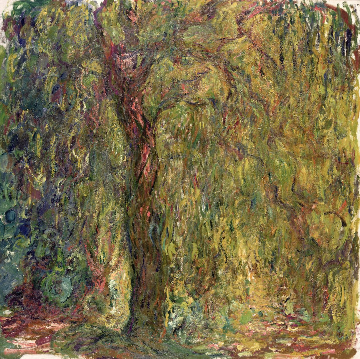 Trauerweide, 1918-19 von Claude Monet