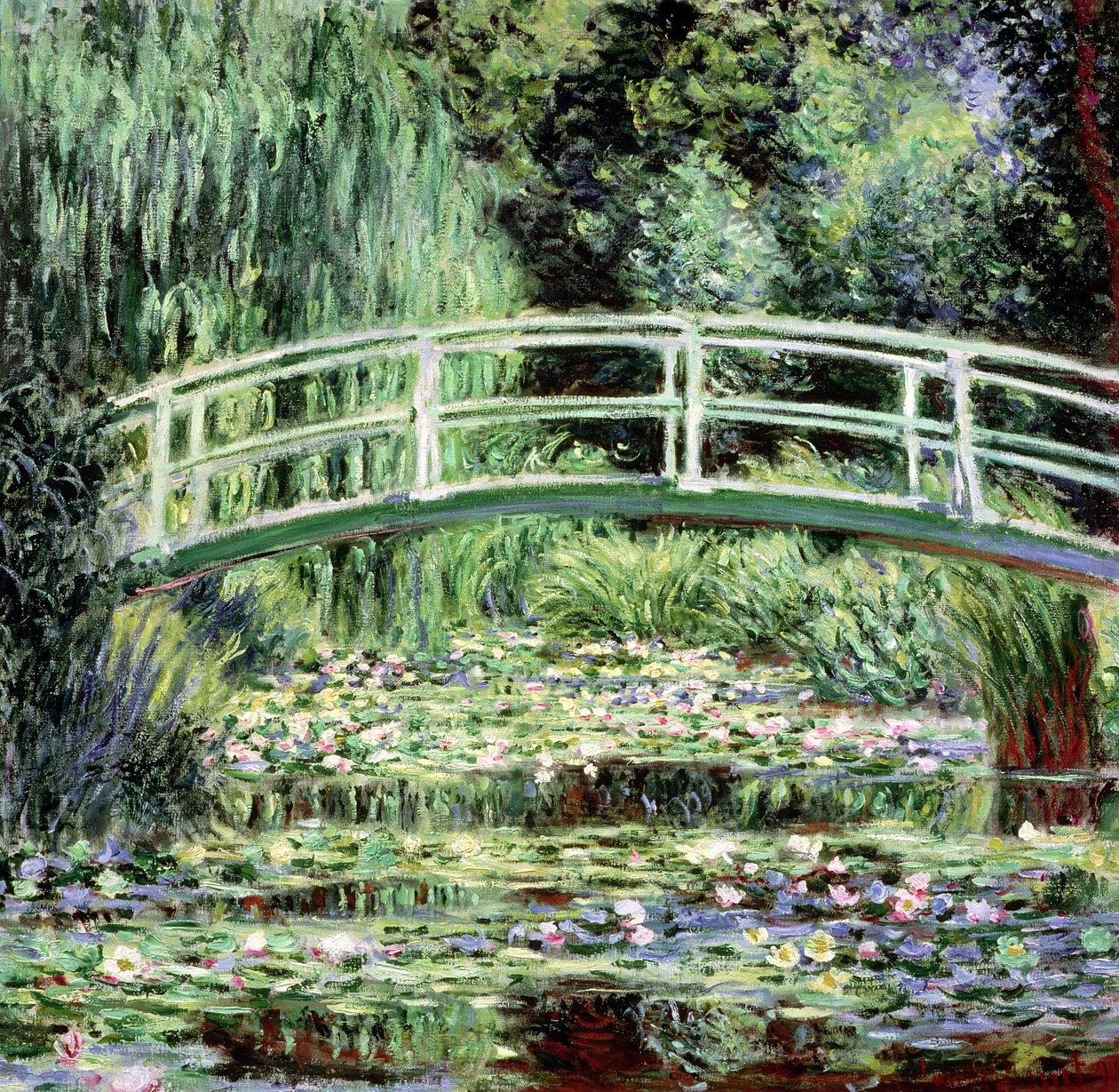 Weiße Seerosen, 1899 von Claude Monet