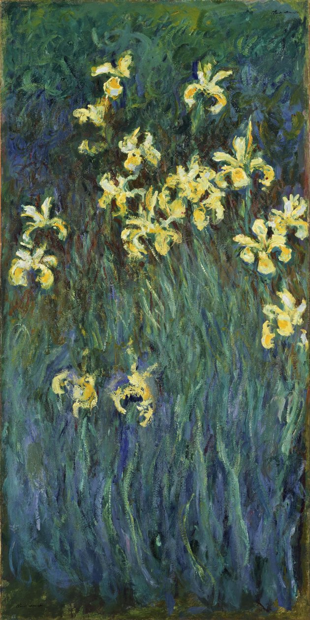 Gelbe Schwertlilien von Claude Monet