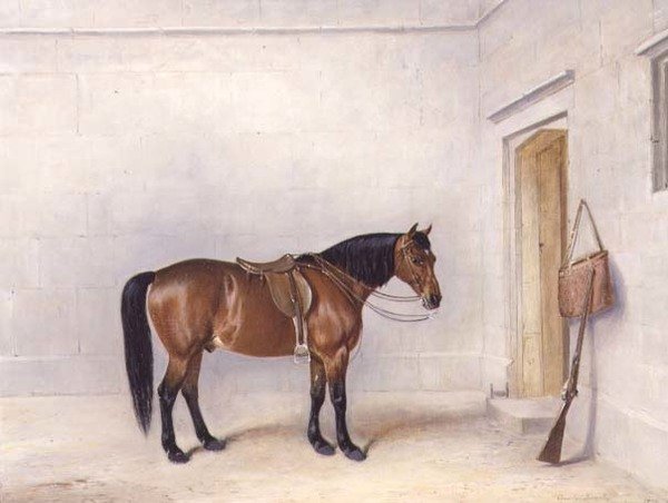 Gesatteltes Bay-Schießpony von Claude L. Ferneley