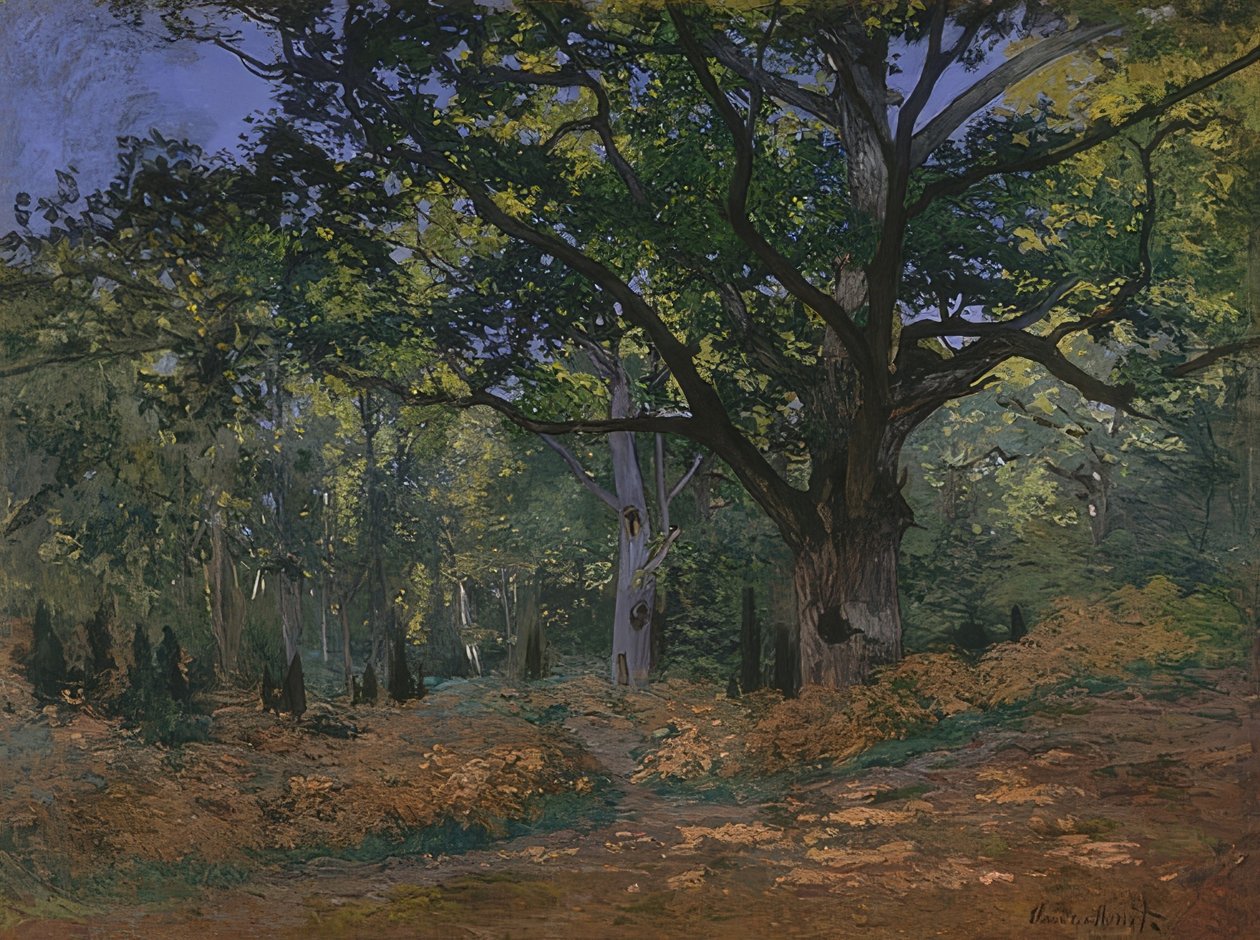 Bodmer Eiche im Wald von Fontainebleau von Claude Monet