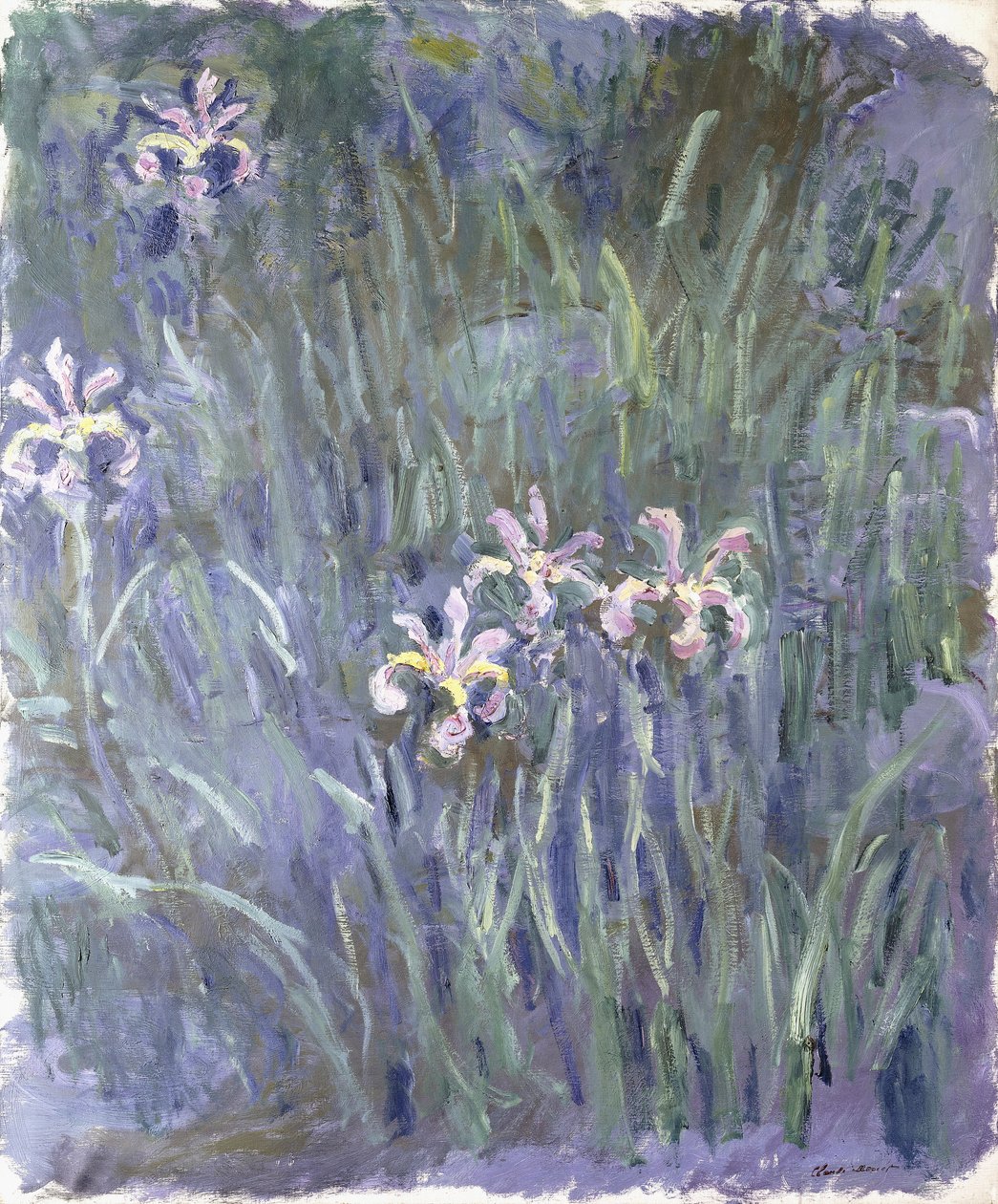 Iris, ca. 1914-1917 von Claude Monet