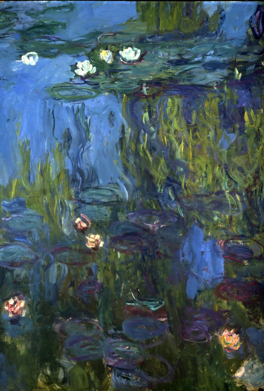Seerosen, 1914-17 von Claude Monet