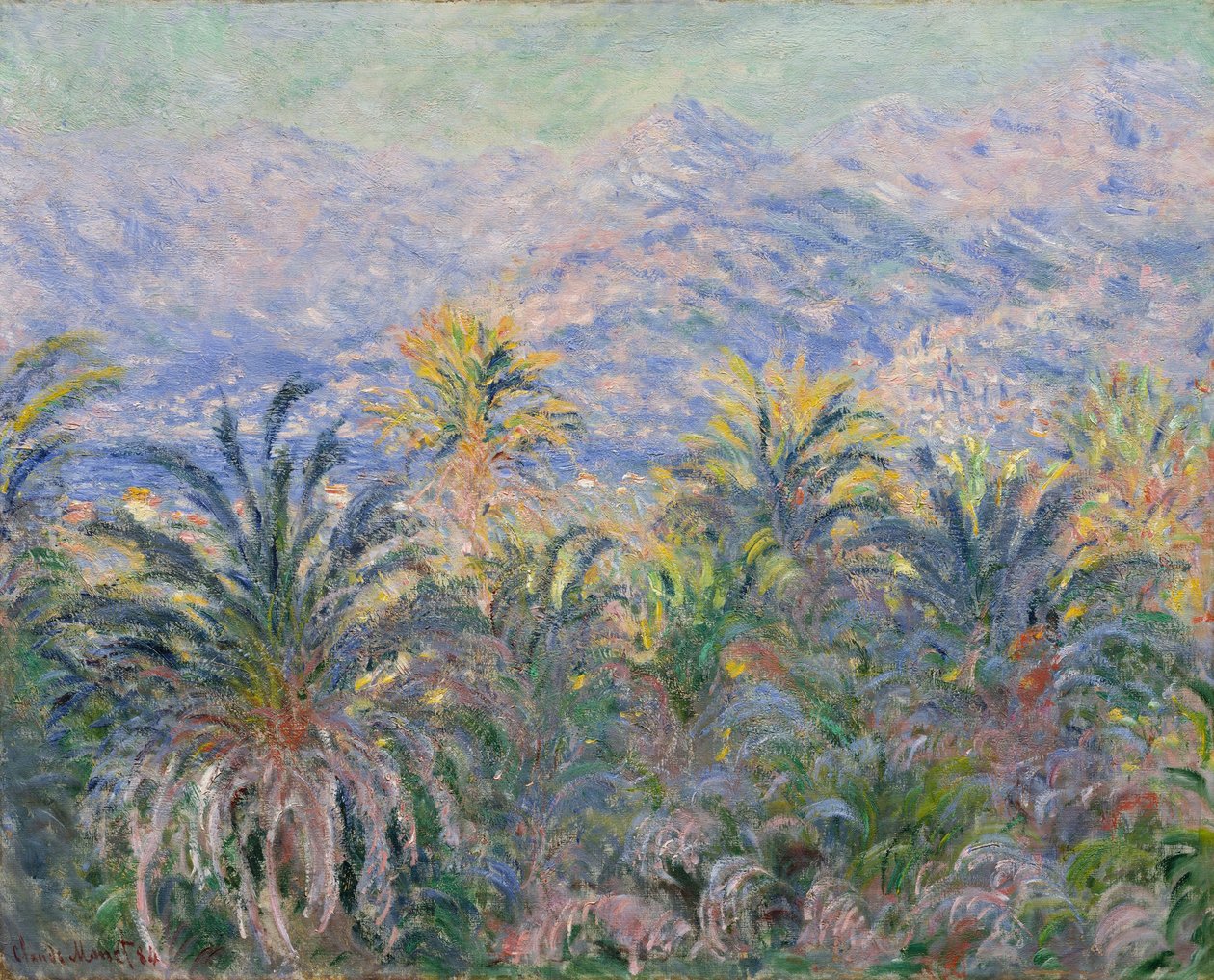 Palmen bei Bordighera von Claude Monet