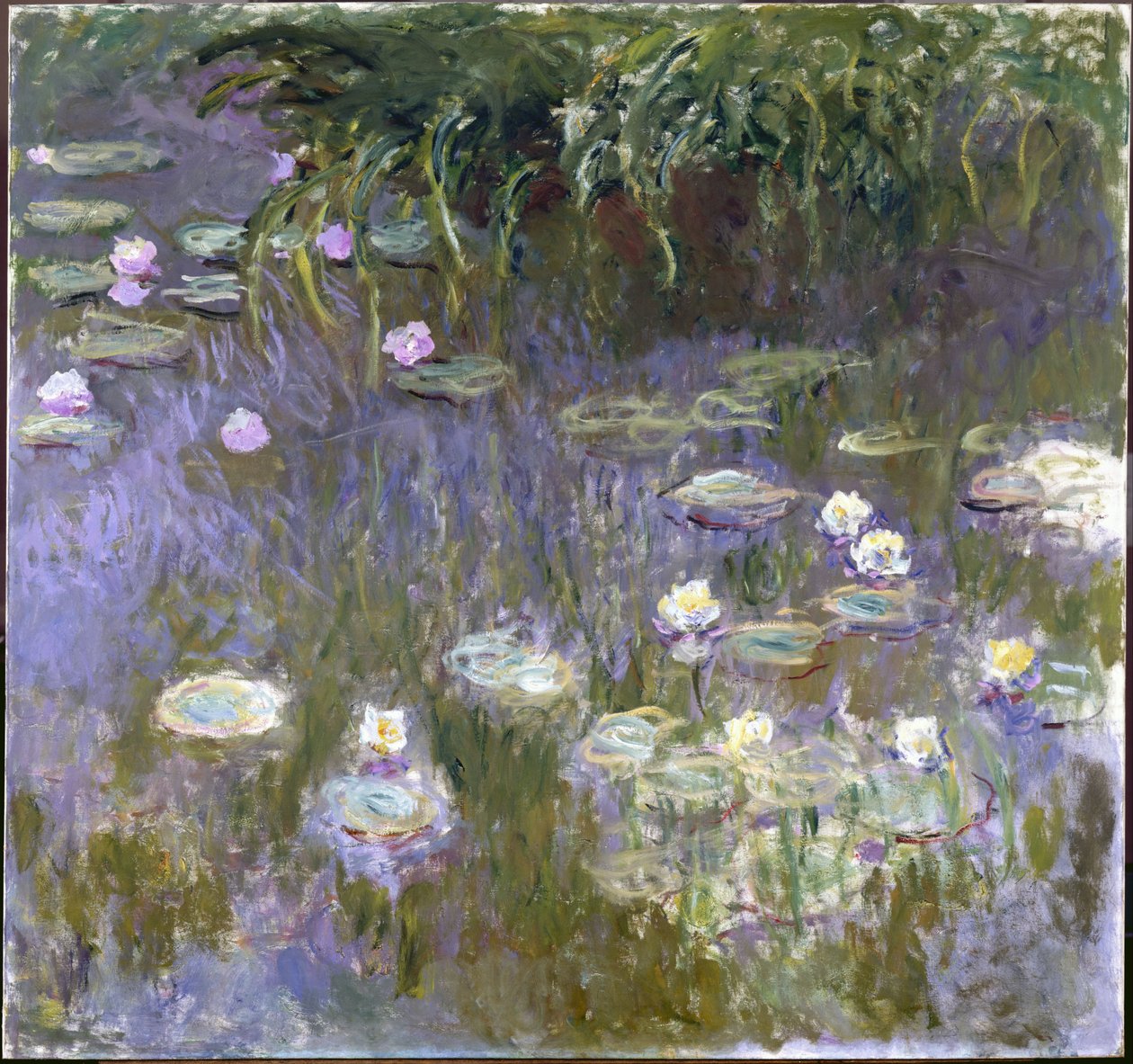 Seerosen von Claude Monet