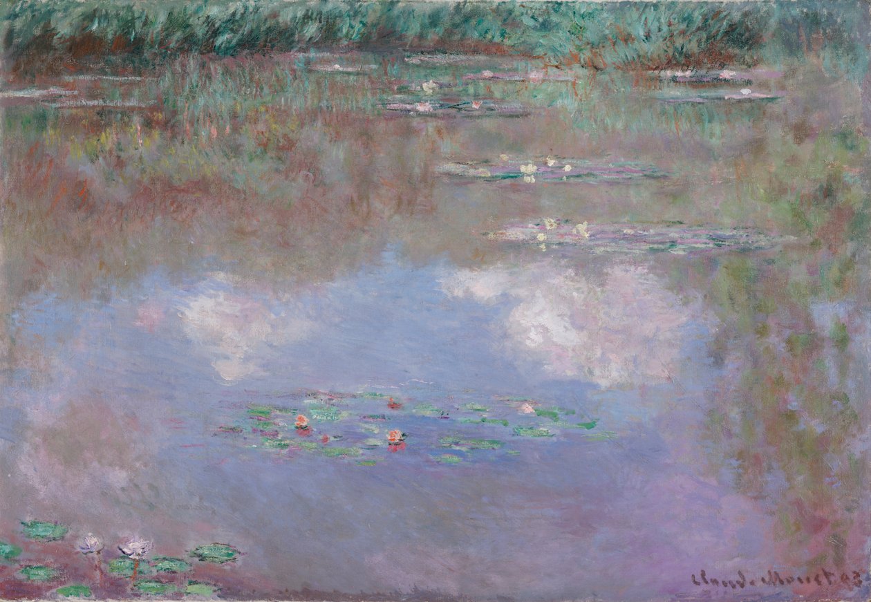 Seerosen, die Wolke, 1903 von Claude Monet