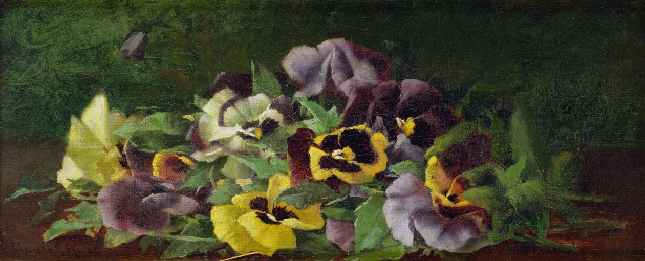 Stiefmütterchen von Claude Raguet Hirst
