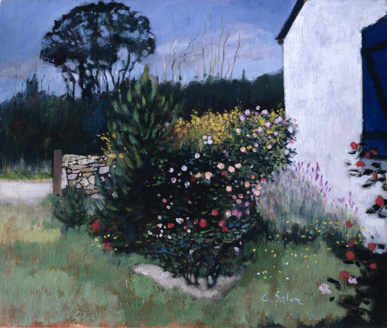 Der Rosenstrauch von Claude Salez