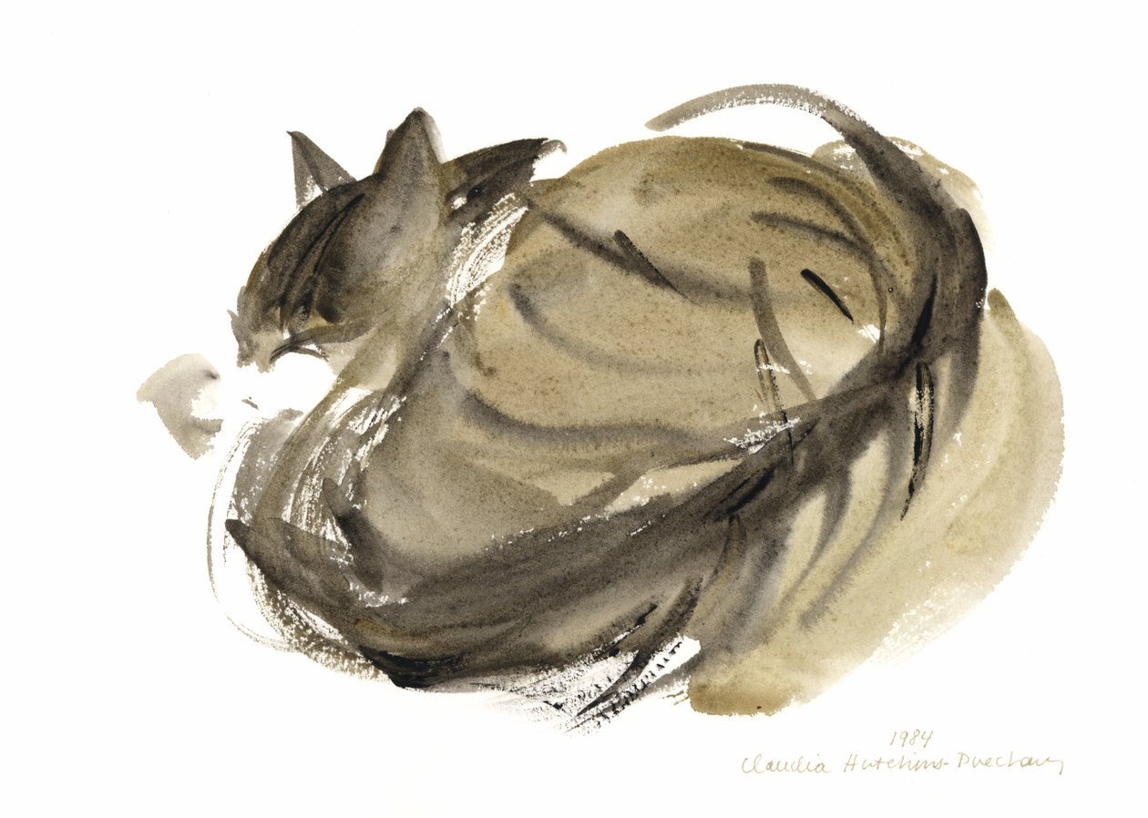 Schlafende Katze von Claudia Hutchins Puechavy
