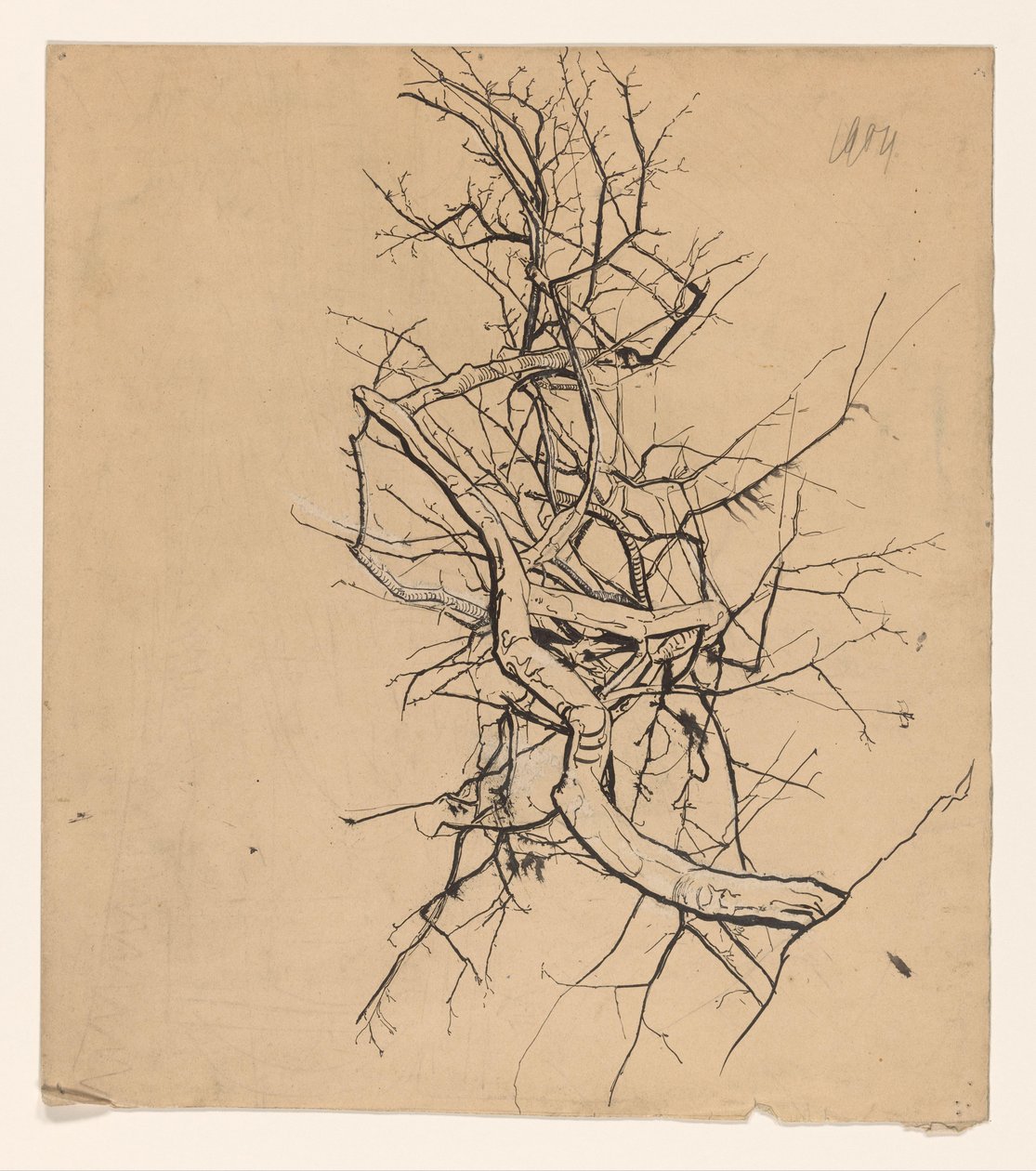 Baumstudie von Coba Steenhoff