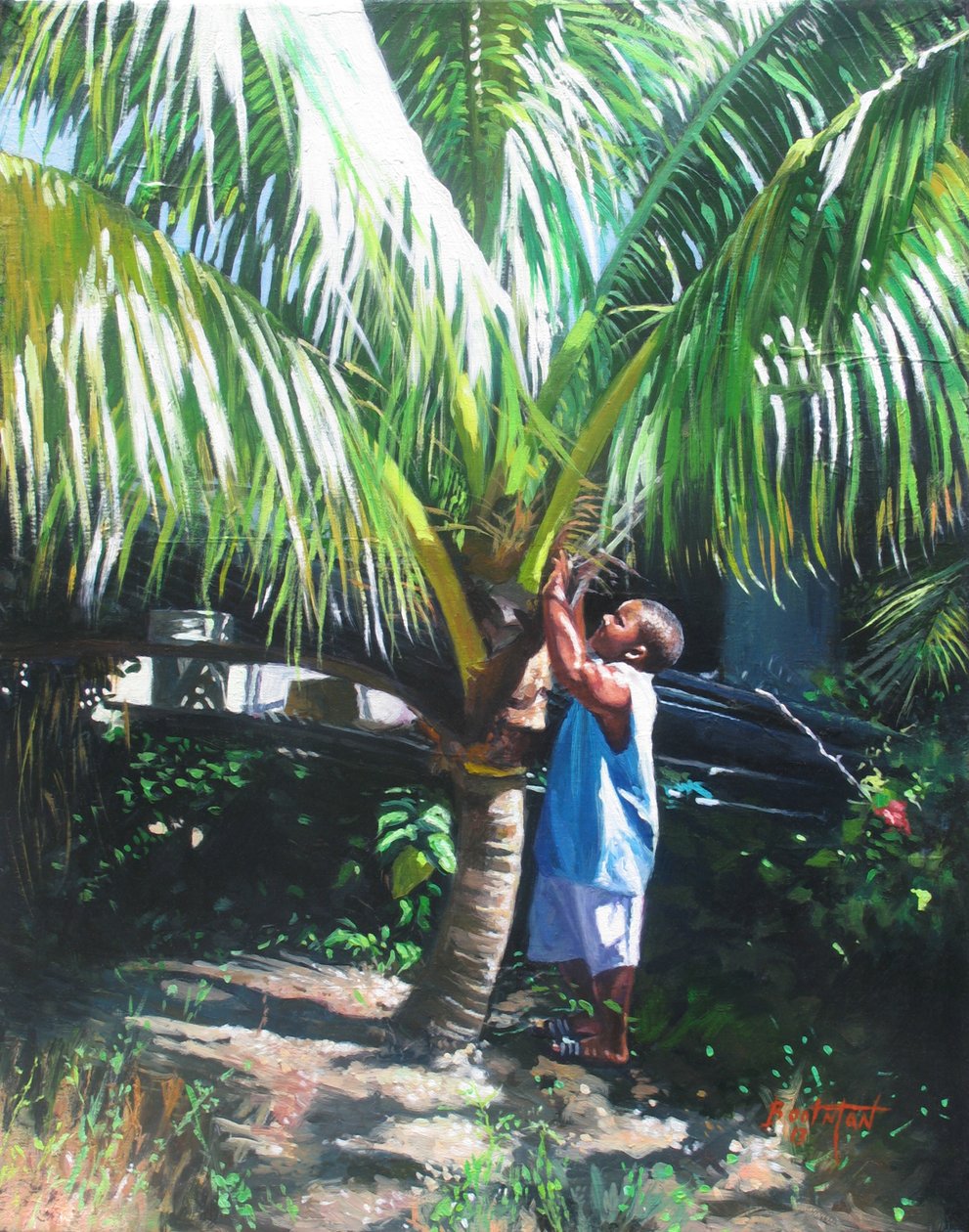 Kokosschatten, 2014 von Colin Bootman