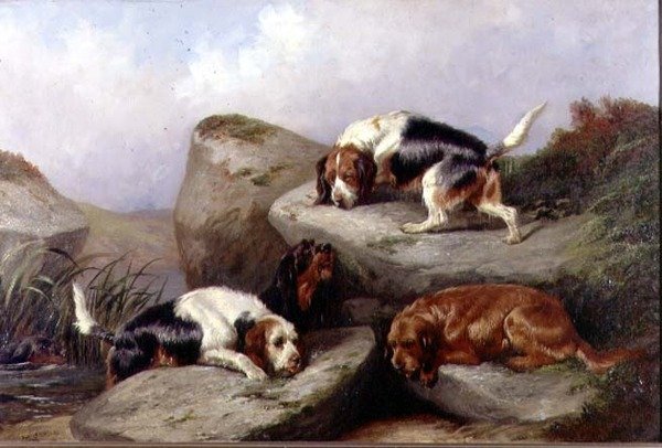 Otterhunde, 1889 von Colin Graeme