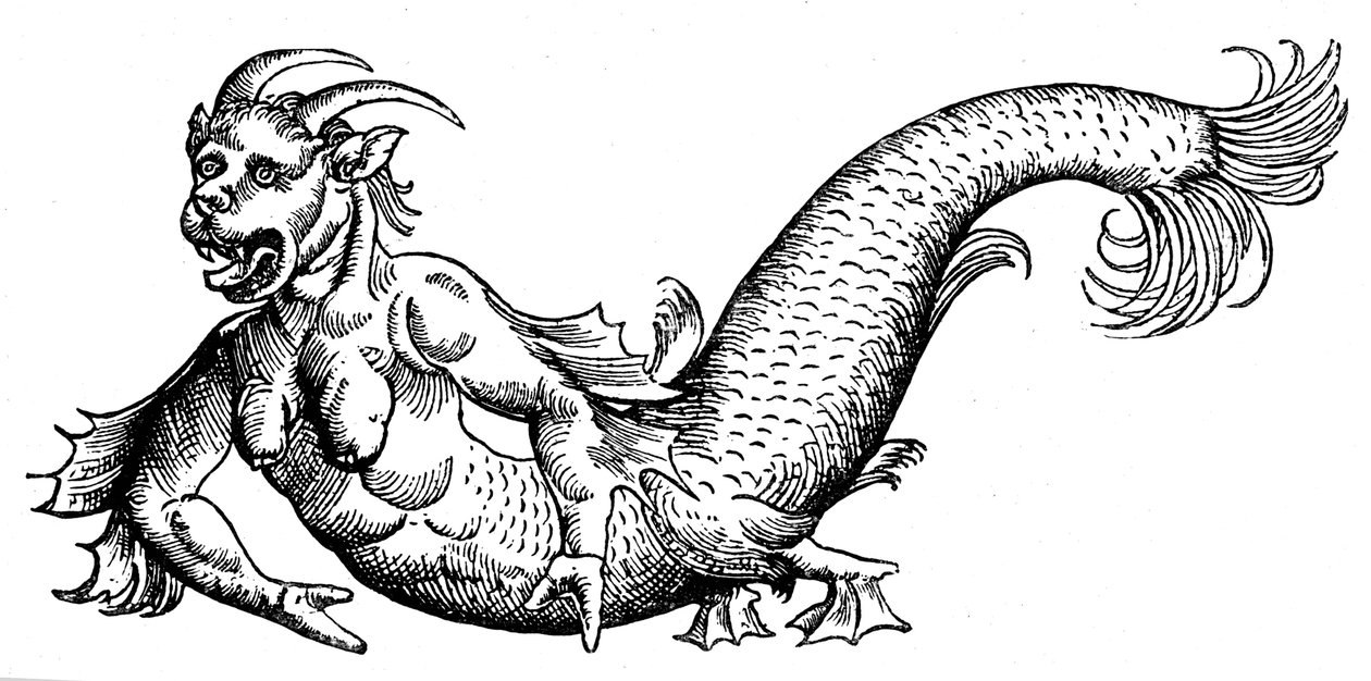 Teufel der Meere von Conrad (after) Gesner