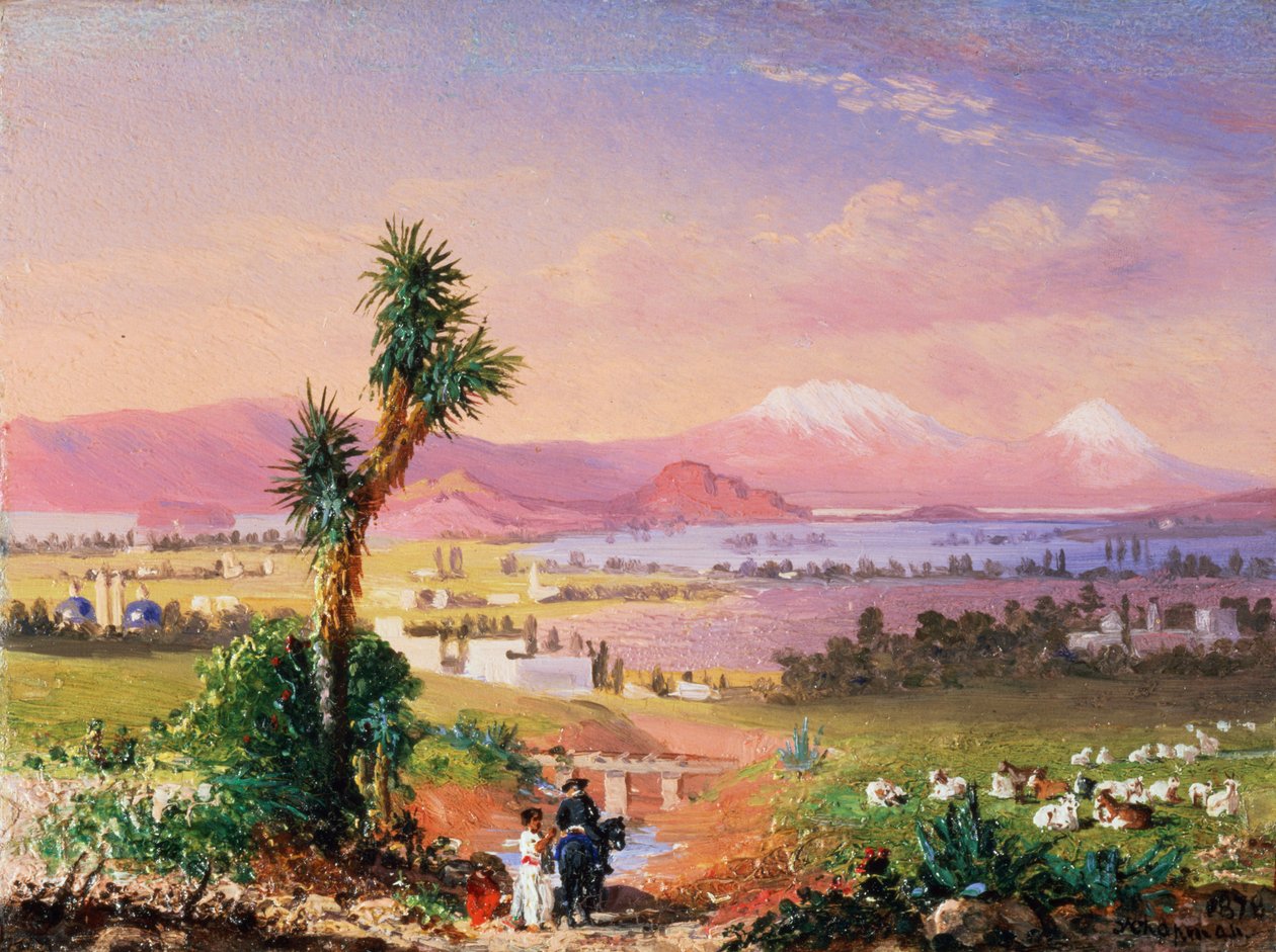Ein Blick auf Mexiko-Stadt von Conrad Wise Chapman