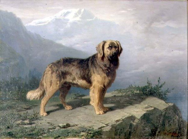 Ein Mastiff in einer alpinen Landschaft von Conradyn Cunaeus
