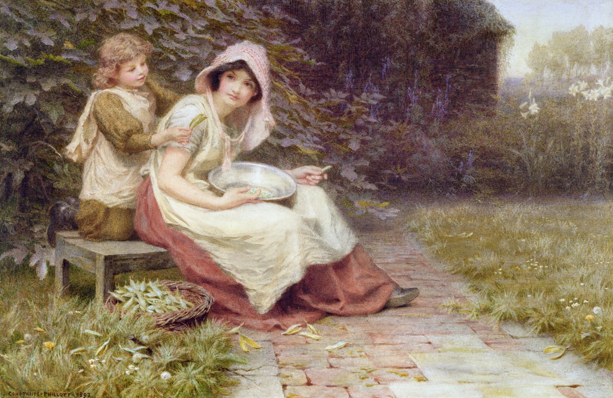 Erbsen schälen von Constance Phillott