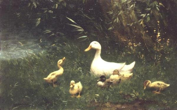 Enten von Constant Artz
