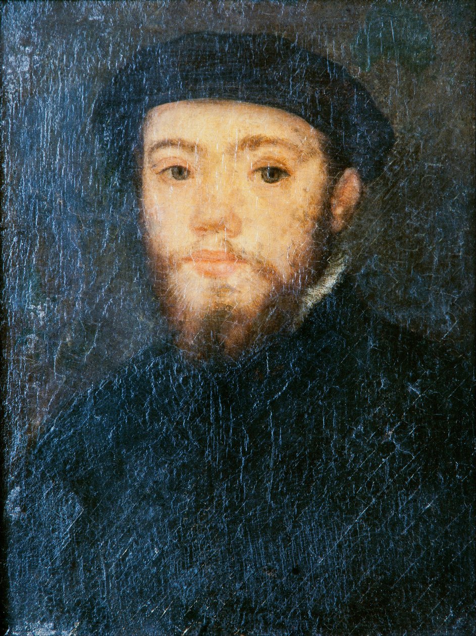 Porträt eines Mannes von Corneille de Lyon