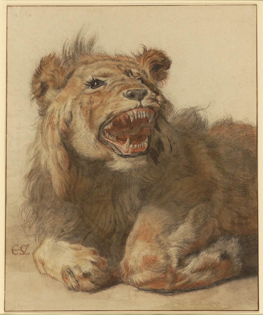 Ein fauchender Löwe von Cornelis Saftleven