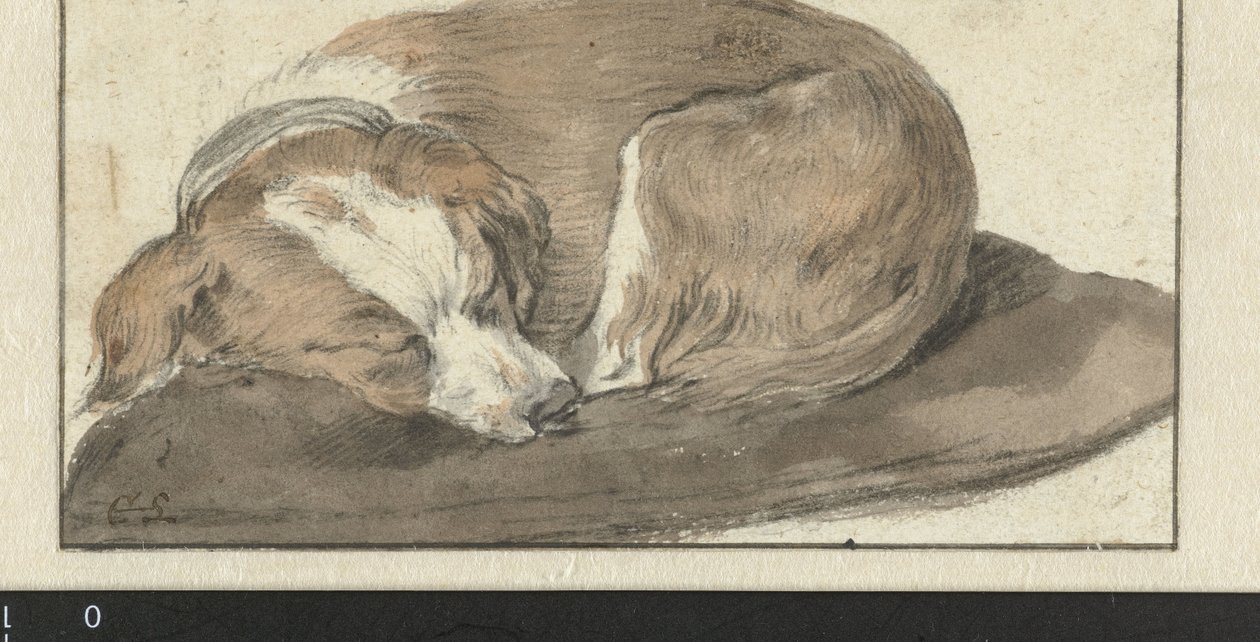Schlafender Hund von Cornelis Saftleven