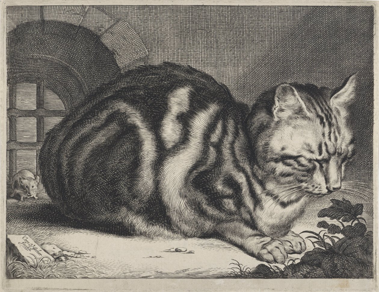 Die große Katze von Cornelis Visscher (II)