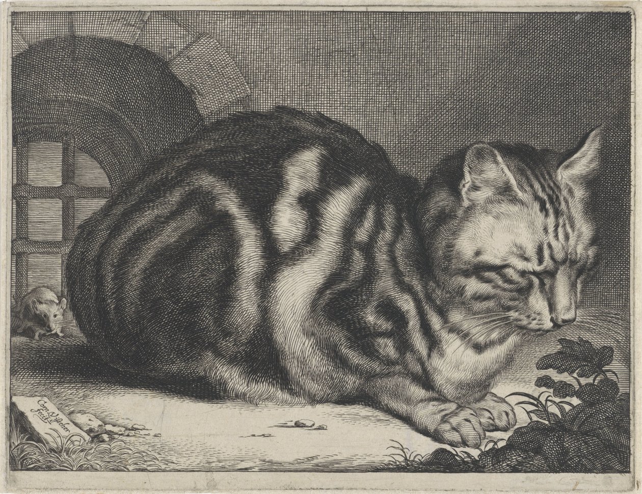 Die große Katze von Cornelis Visscher (II)