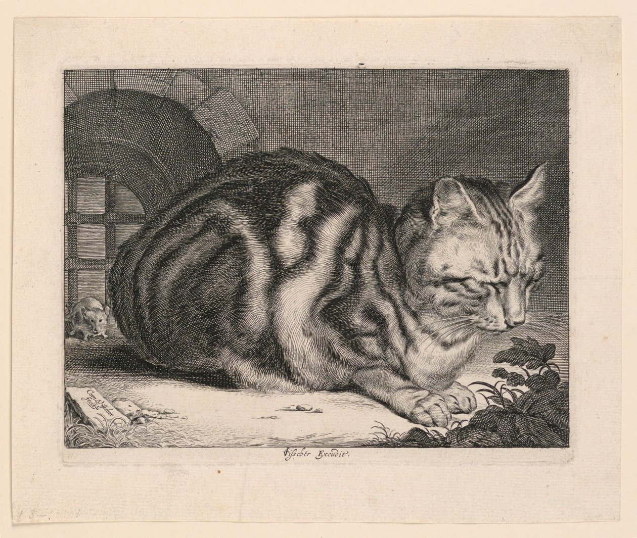 Die große Katze von Cornelis Visscher