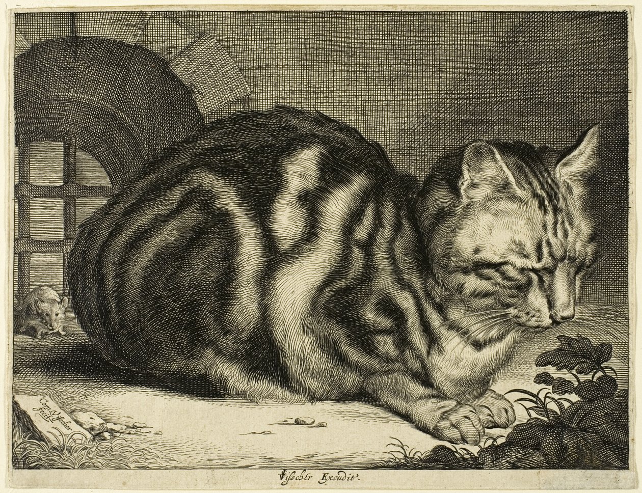 Die große Katze von Cornelis Visscher