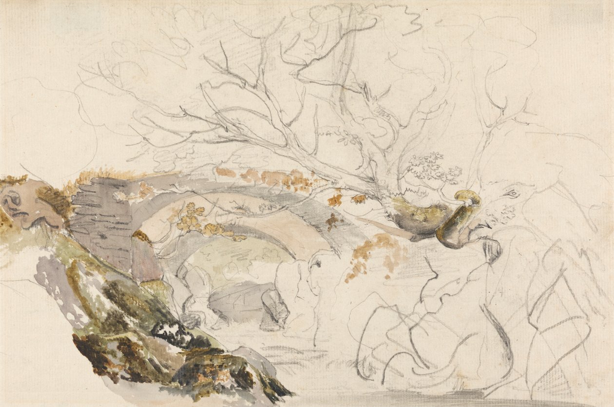 Brücke und Bäume von Cornelius Varley