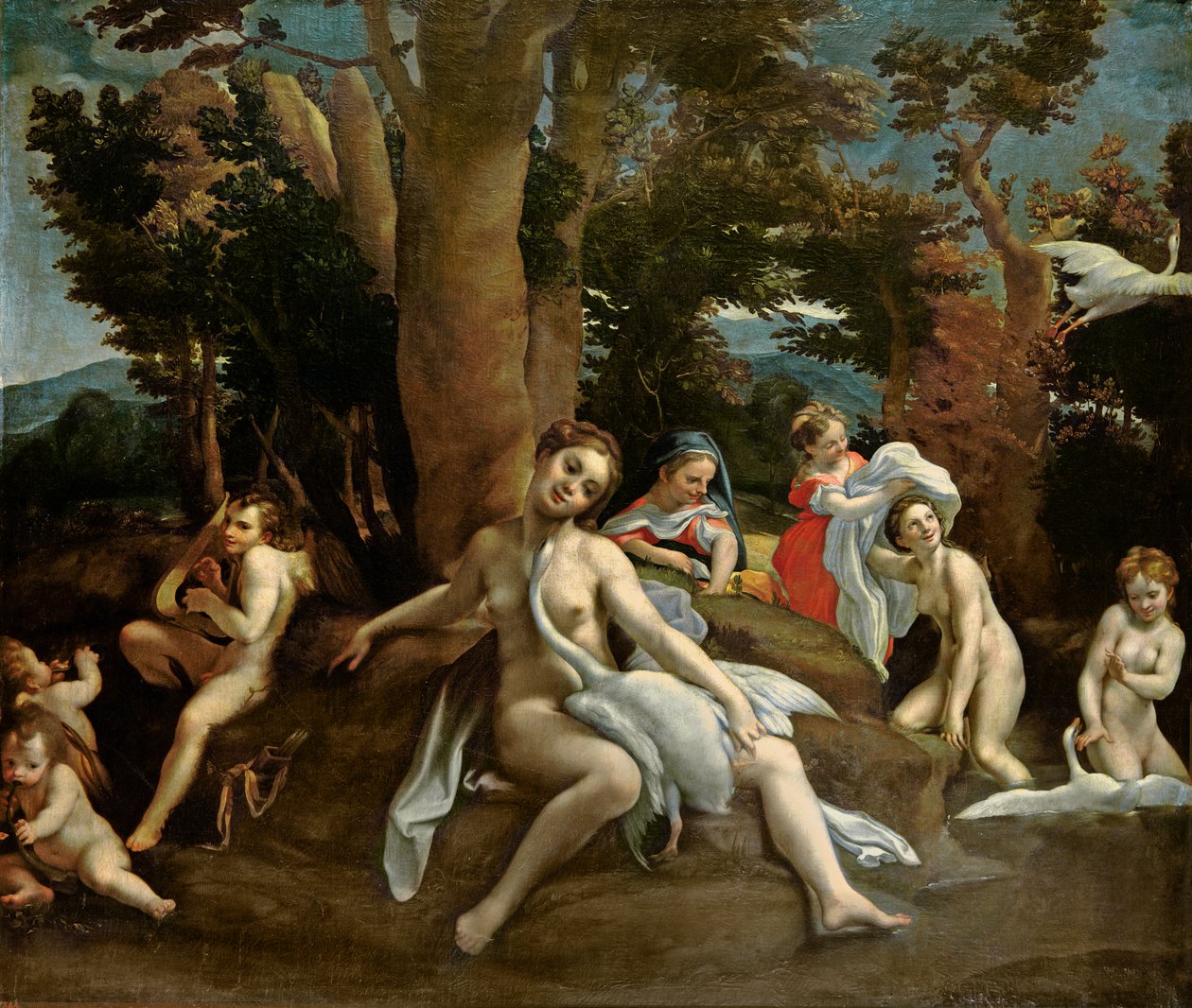 Leda und der Schwan von Antonio da Correggio