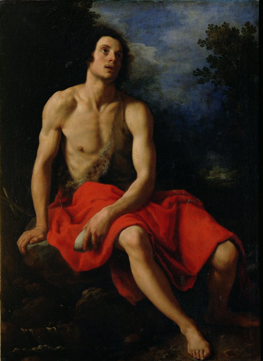 Johannes der Täufer in der Wüste von Cristofano Allori