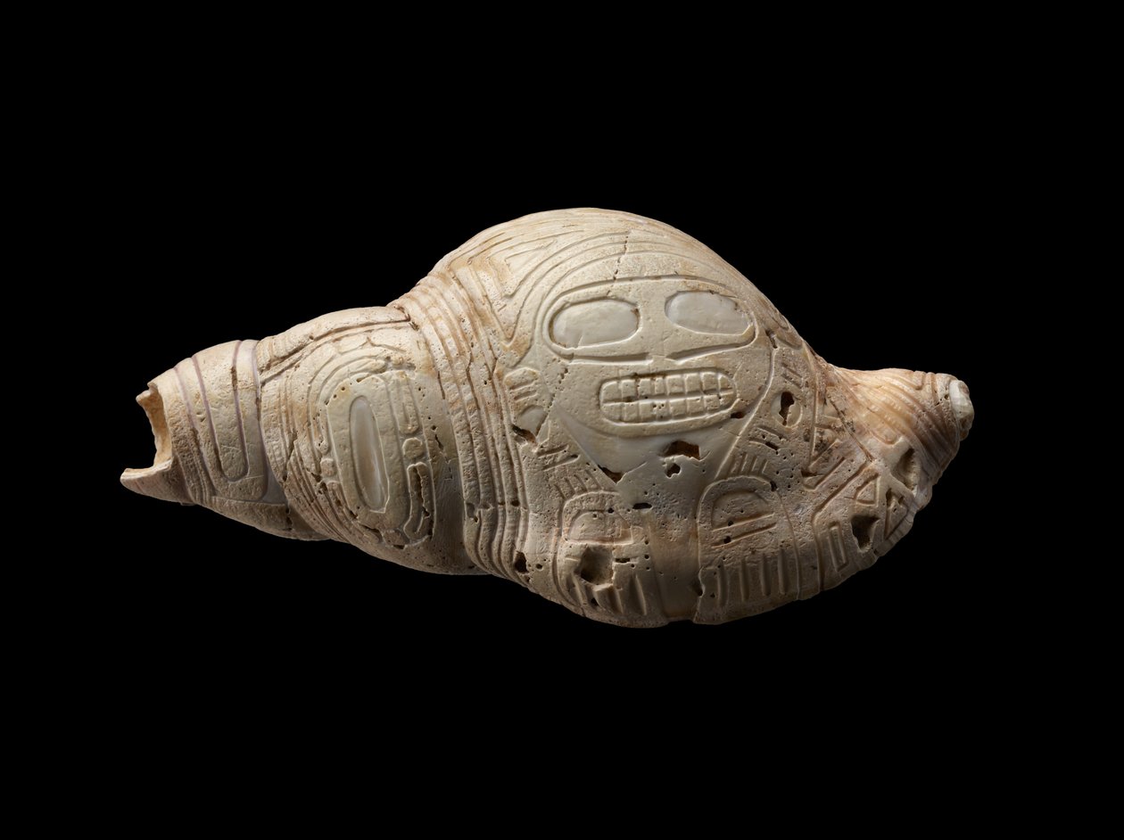 Geschnitzte Muschelschale von Culture Taino