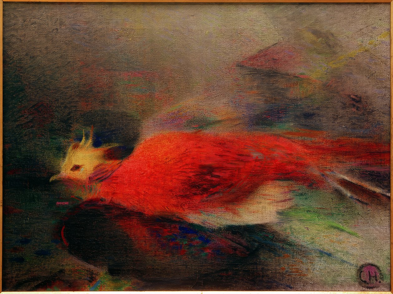 Goldfasan von Curt Herrmann