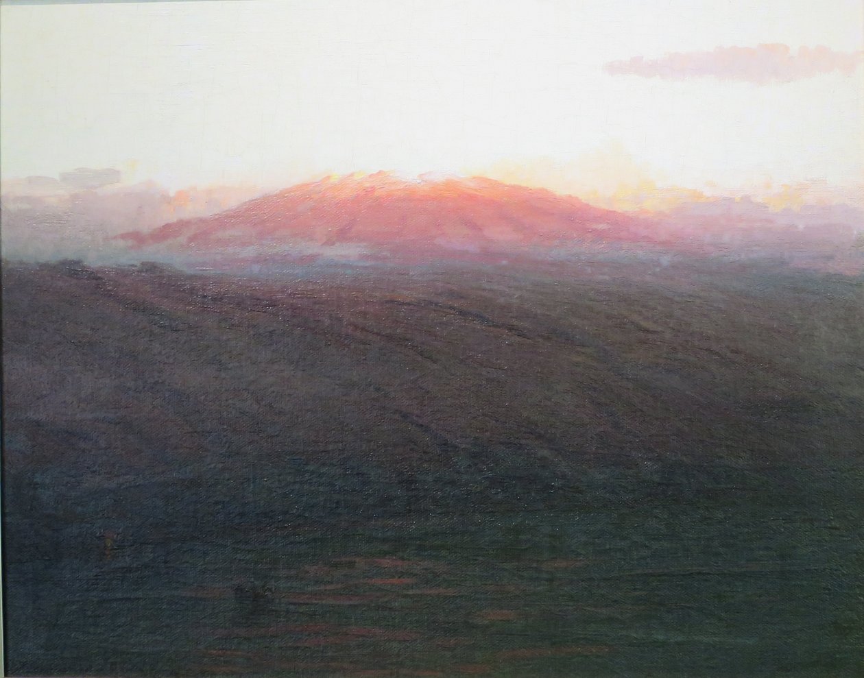 Mauna Kea von D. Howard Hitchcock