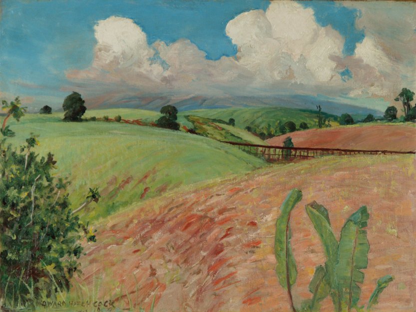 Zuckerrohrfelder, Big Island von D. Howard Hitchcock