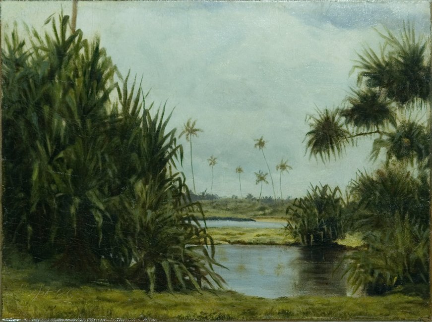 Hilo-Bucht von D. Howard Hitchcock