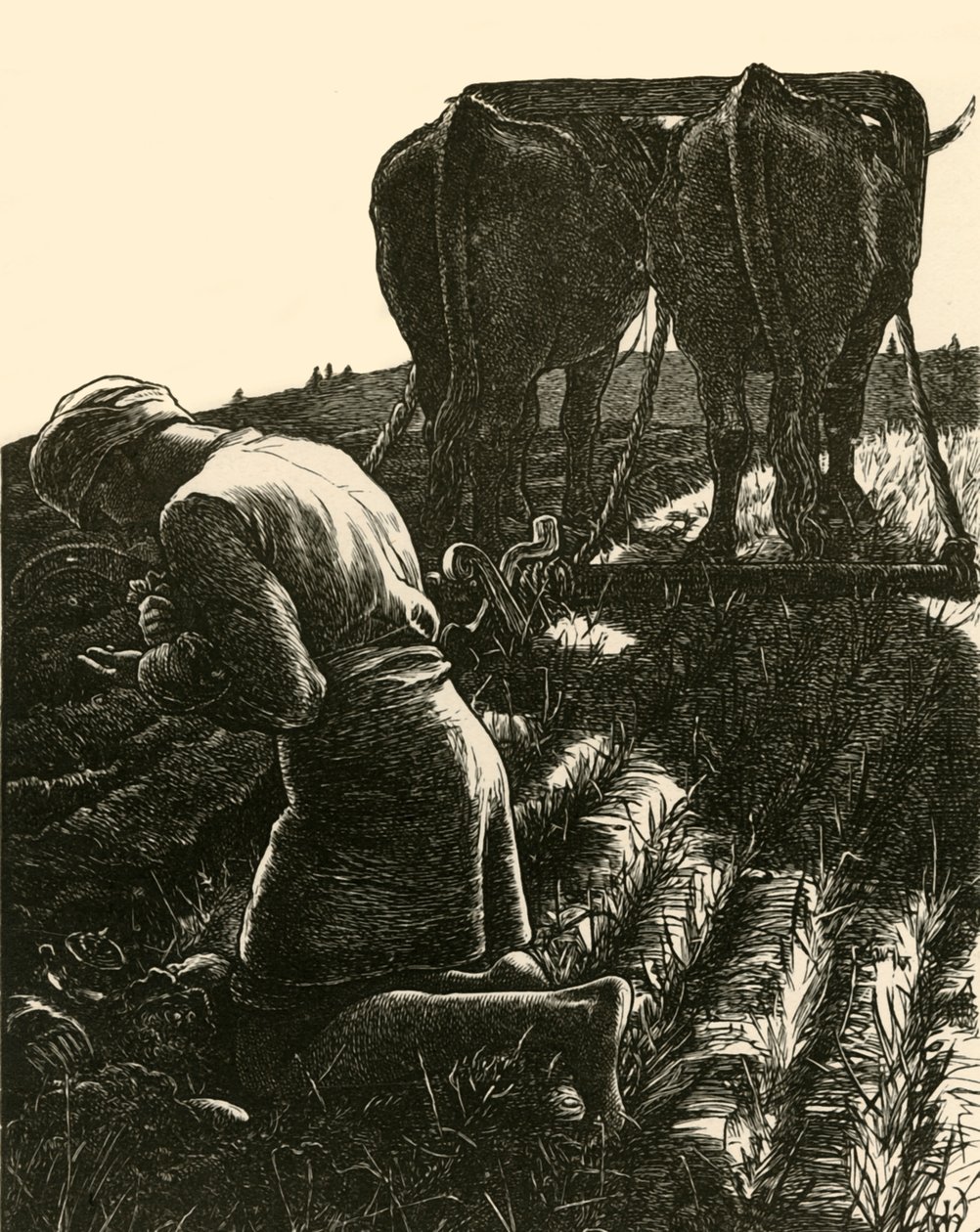 Der verborgene Schatz, 1864 von Dalziel Brothers