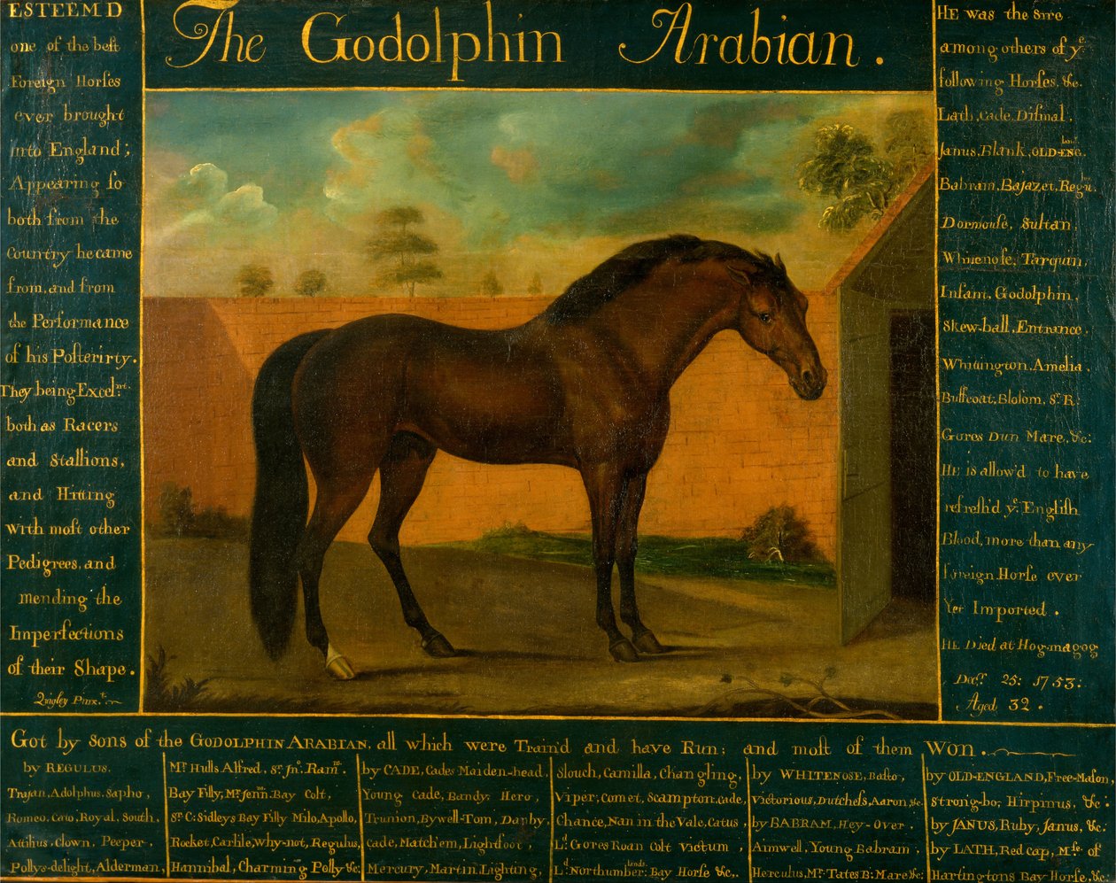 Der Godolphin Araber von Daniel Quigley