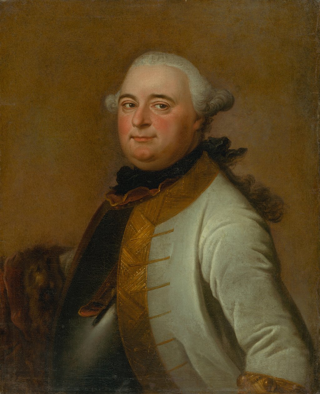 Porträt von Feldmarschall Mikuláš Mednyánszky von Daniel Woge