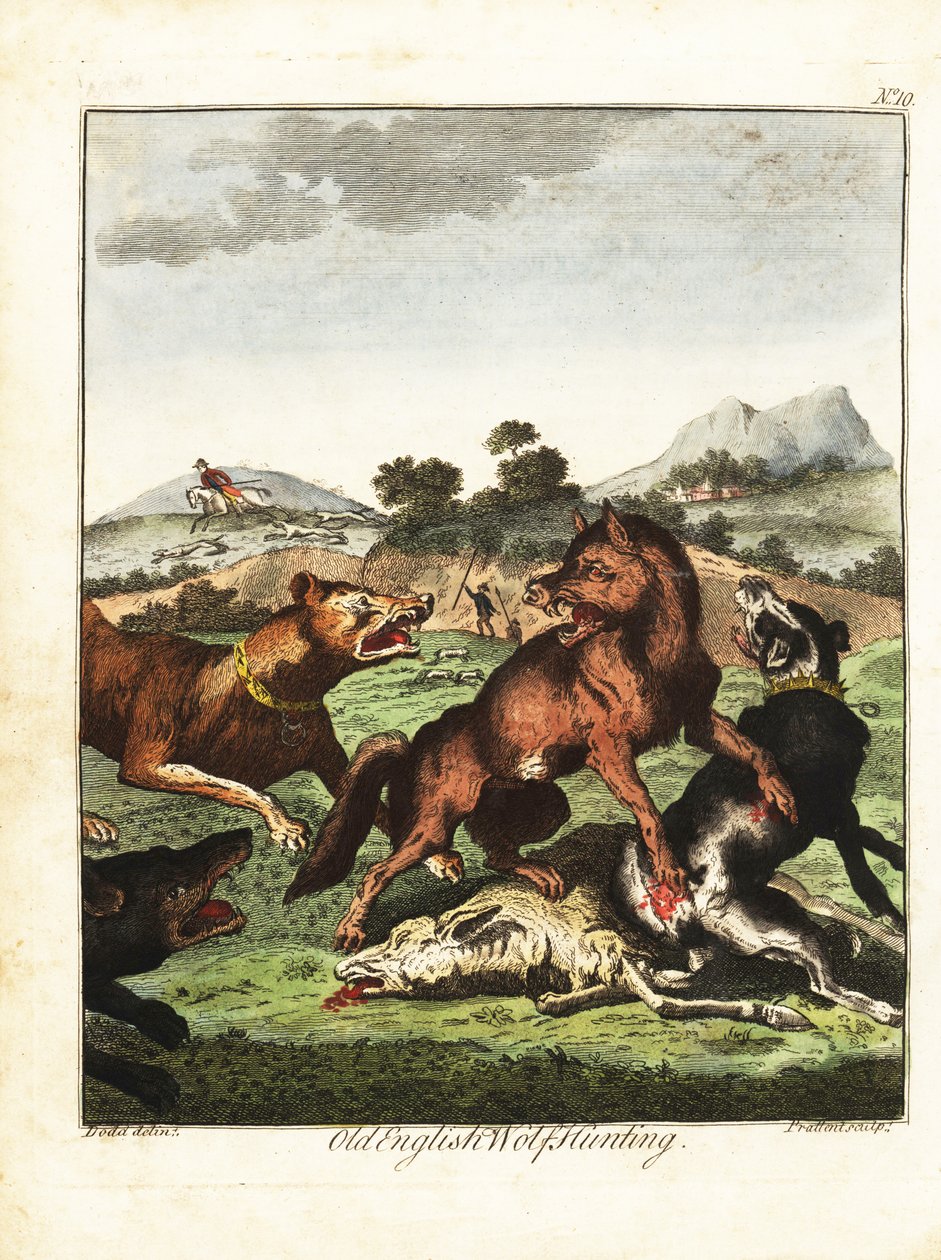 Alte englische Wolfsjagd. 1792 (Gravur) von Daniel (after) Dodd