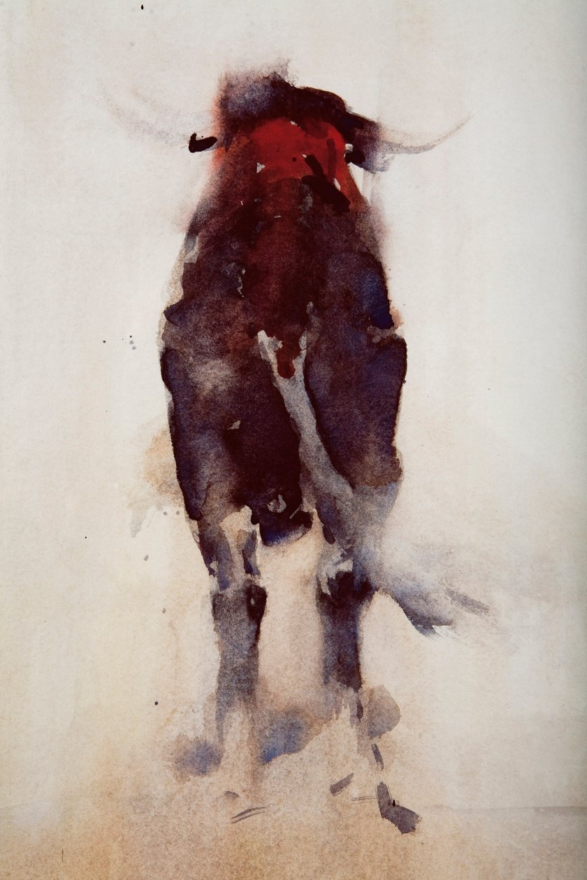 Stier (Detail) von Daniel Cacouault