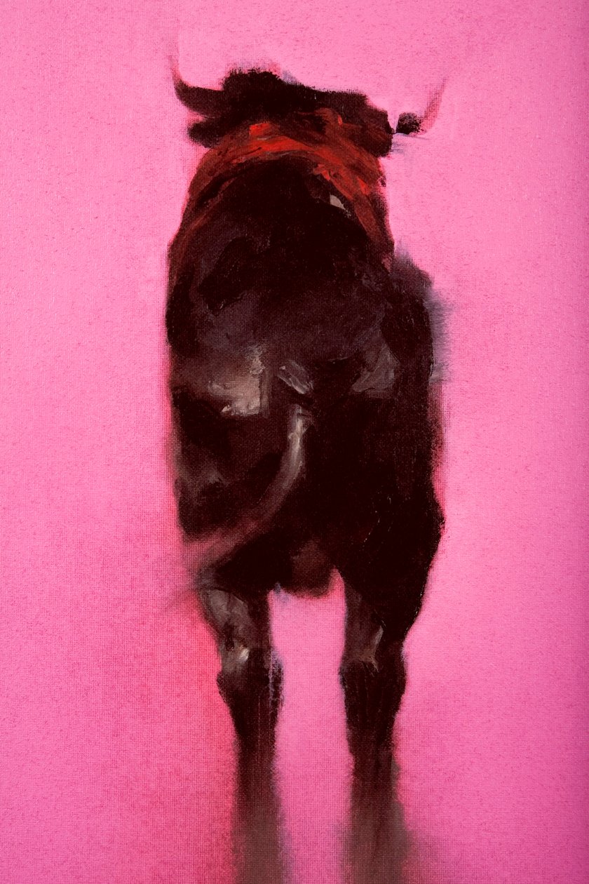 Stier (Detail) von Daniel Cacouault