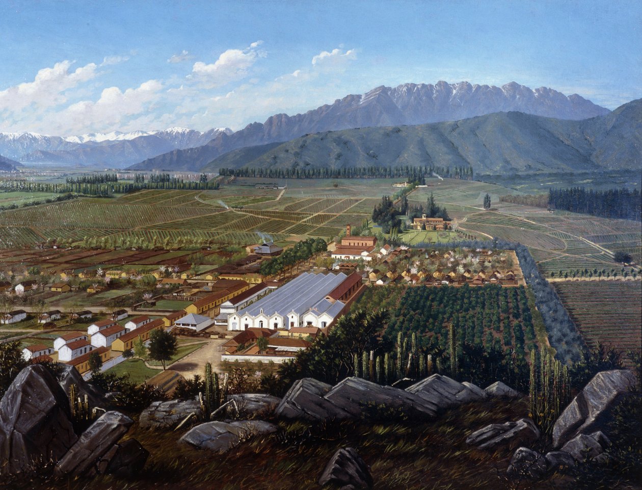 Der Weinberg von Erranzuriz-Panquehue, Chile, 1896 von Daniel Escobar