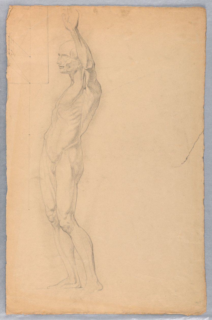 Anatomische Studie eines Mannes, ca. 1850 von Daniel Huntington